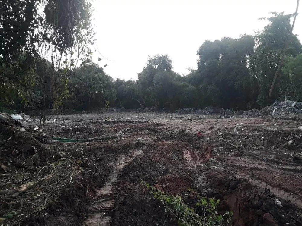 Terreno, 6500 m² - Foto 7