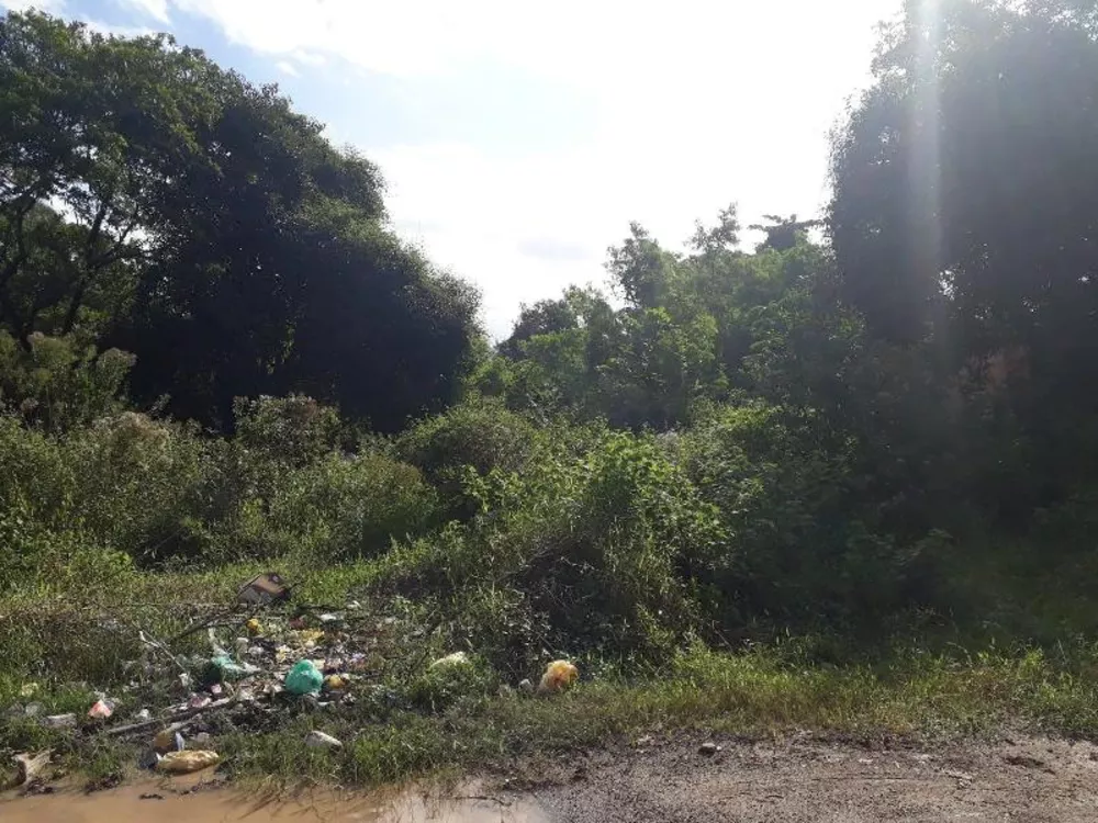 Terreno, 6500 m² - Foto 8