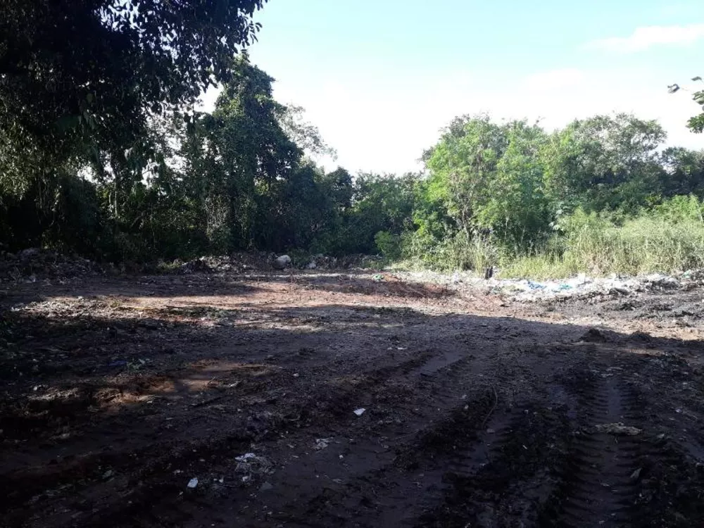 Terreno, 6500 m² - Foto 4