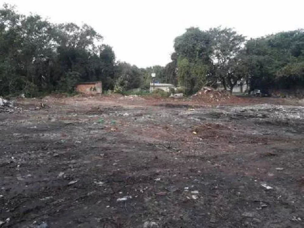 Terreno, 6500 m² - Foto 14