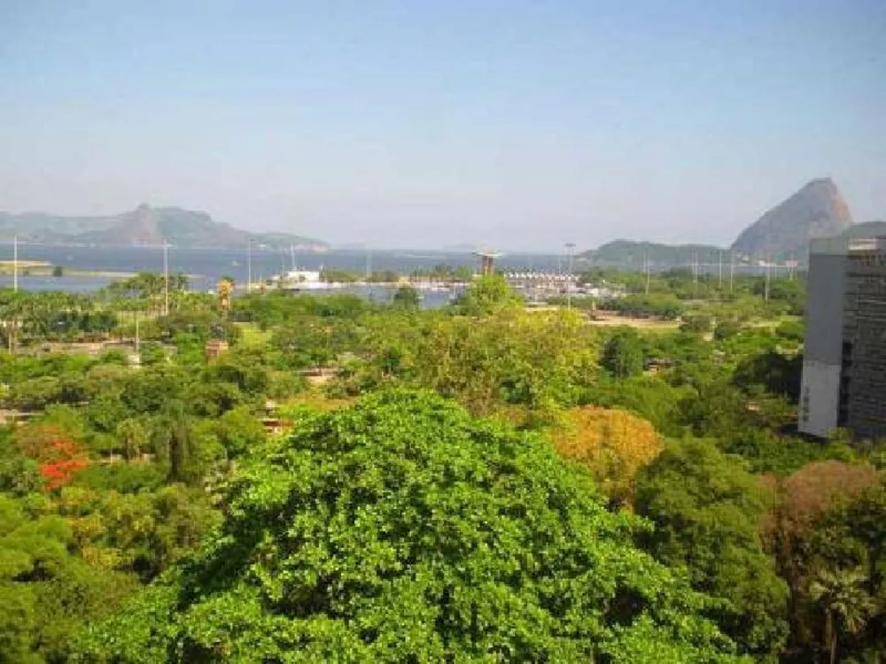 Sala-Conjunto, 350 m² - Foto 14