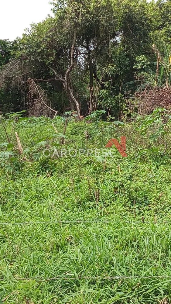 Terreno, 4000 m² - Foto 5