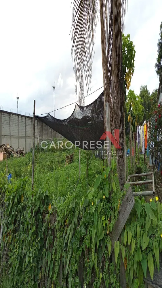 Terreno, 4000 m² - Foto 3