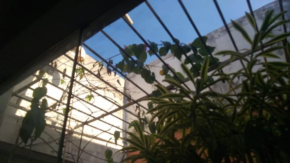 Casa, 8 quartos, 322 m² - Foto 2