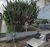 Terreno, 500 m² - Foto 2