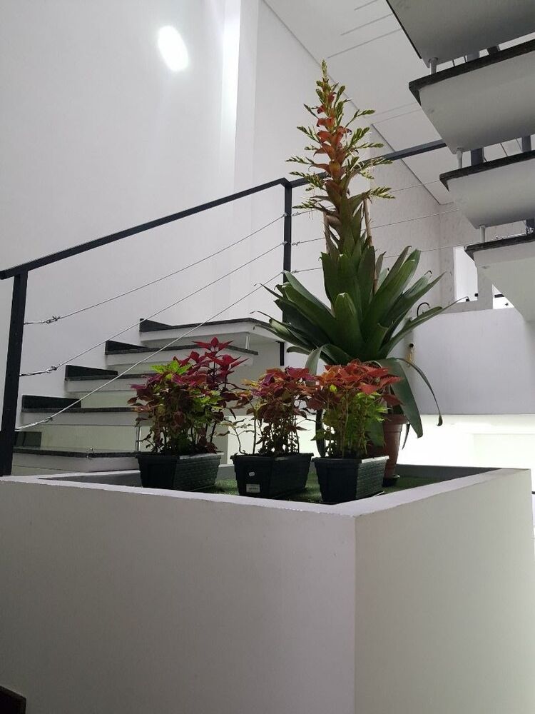 Sobrado à venda com 3 quartos, 163m² - Foto 3
