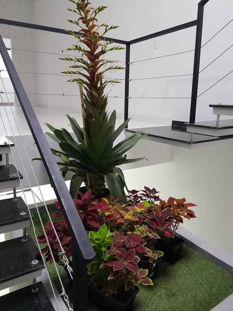 Sobrado, 3 quartos, 163 m² - Foto 5