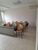 Prédio Inteiro, 295 m² - Foto 6