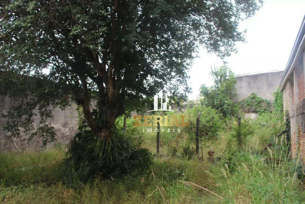 Casa, 4 quartos, 600 m² - Foto 8
