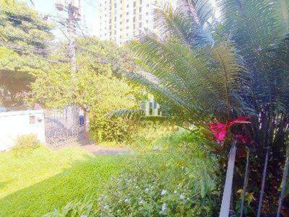 Casa, 4 quartos, 300 m² - Foto 4