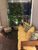 Apartamento, 3 quartos, 98 m² - Foto 2