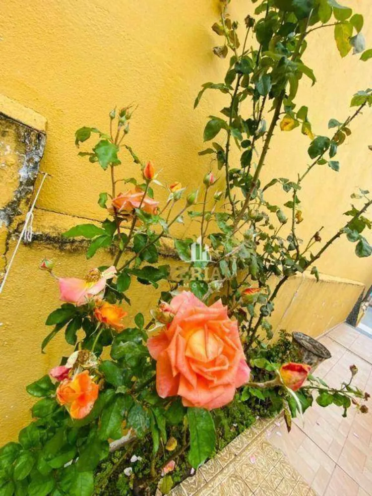 Casa, 2 quartos, 180 m² - Foto 1