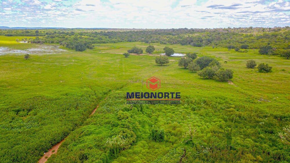 Fazenda à venda com 1 quarto, 99000000M2 - Foto 5