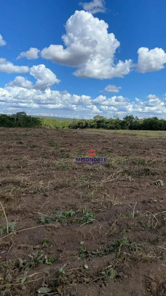 Fazenda, 1100 hectares - Foto 11