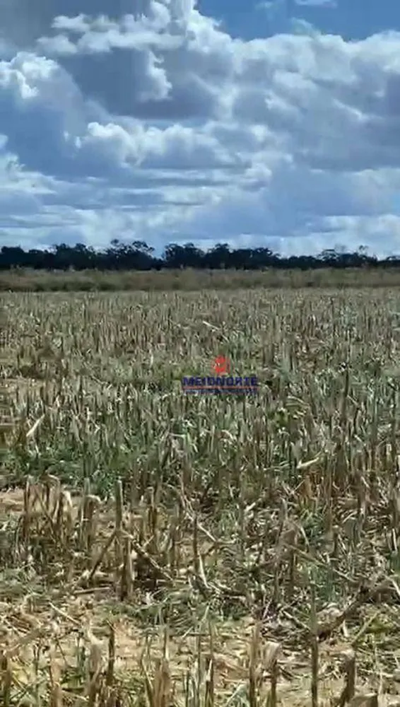 Fazenda, 1100 hectares - Foto 10