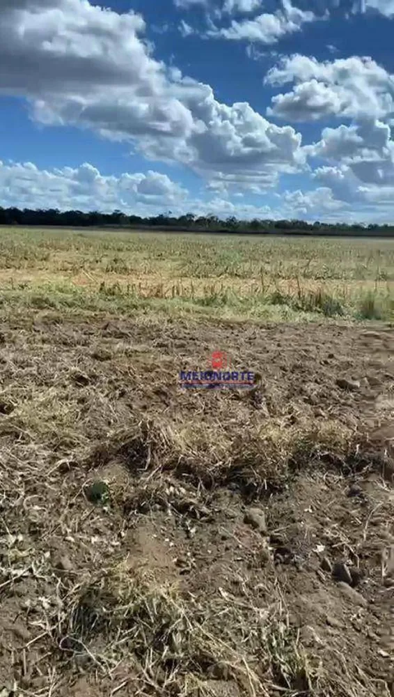 Fazenda, 1100 hectares - Foto 9