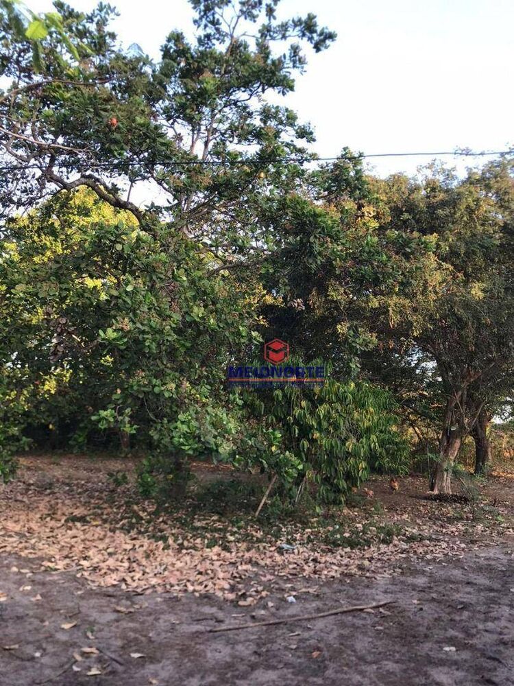 Chácara, 1 quarto, 3 hectares - Foto 6