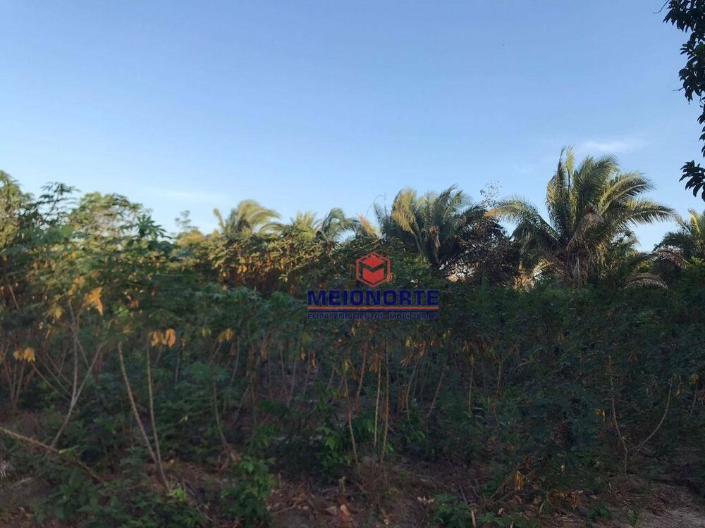 Chácara, 1 quarto, 3 hectares - Foto 10