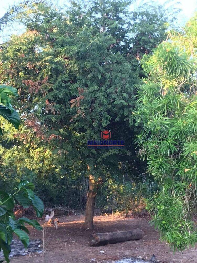 Chácara, 1 quarto, 3 hectares - Foto 7