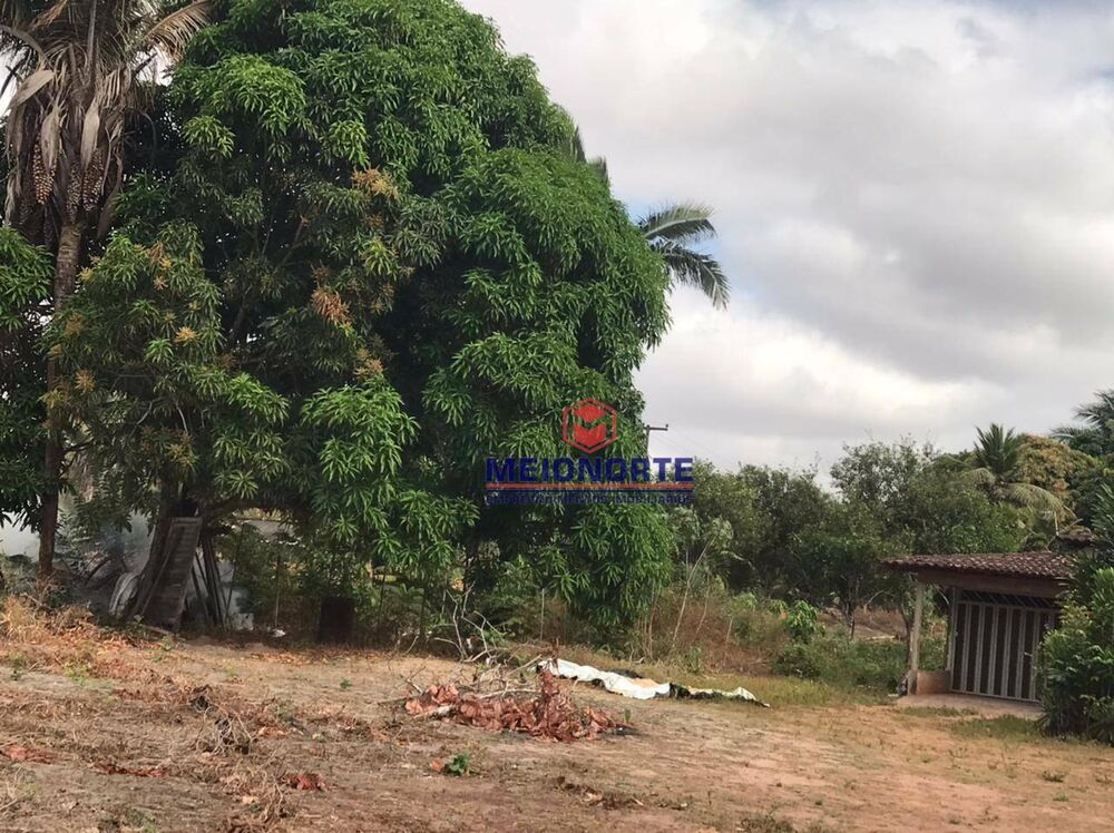 Chácara, 1 quarto, 3 hectares - Foto 3