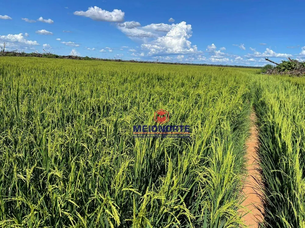 Fazenda, 1200 hectares - Foto 1