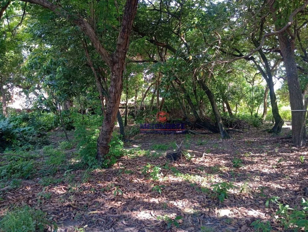 Terreno, 3700 m² - Foto 3