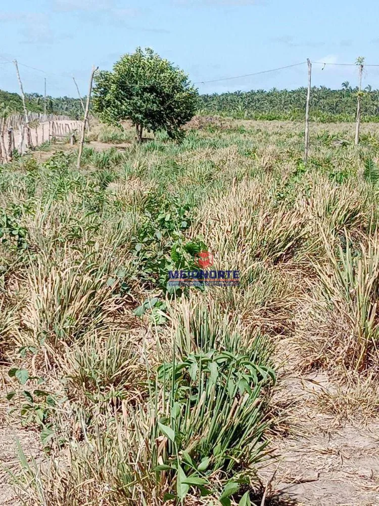 Fazenda, 200 hectares - Foto 12