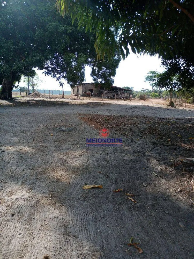 Fazenda, 200 hectares - Foto 16