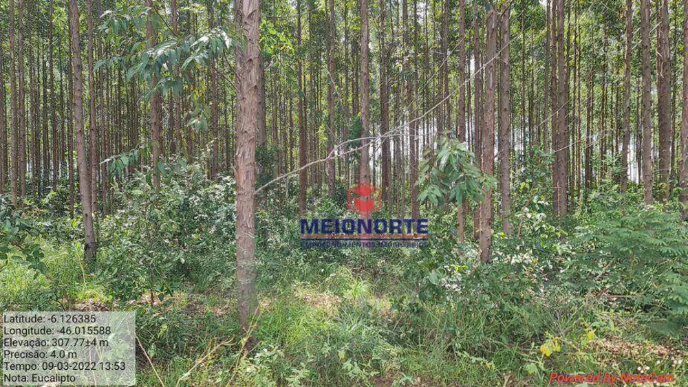 Fazenda, 1872 hectares - Foto 6