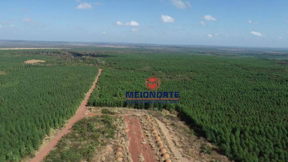 Fazenda, 1872 hectares - Foto 9