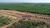 Fazenda, 1872 hectares - Foto 3