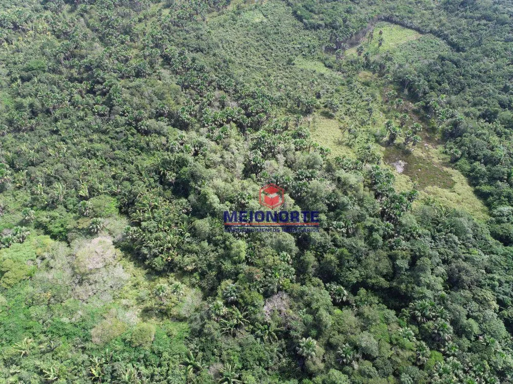 Fazenda, 2019 hectares - Foto 2