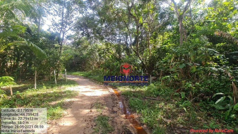 Fazenda, 2019 hectares - Foto 8