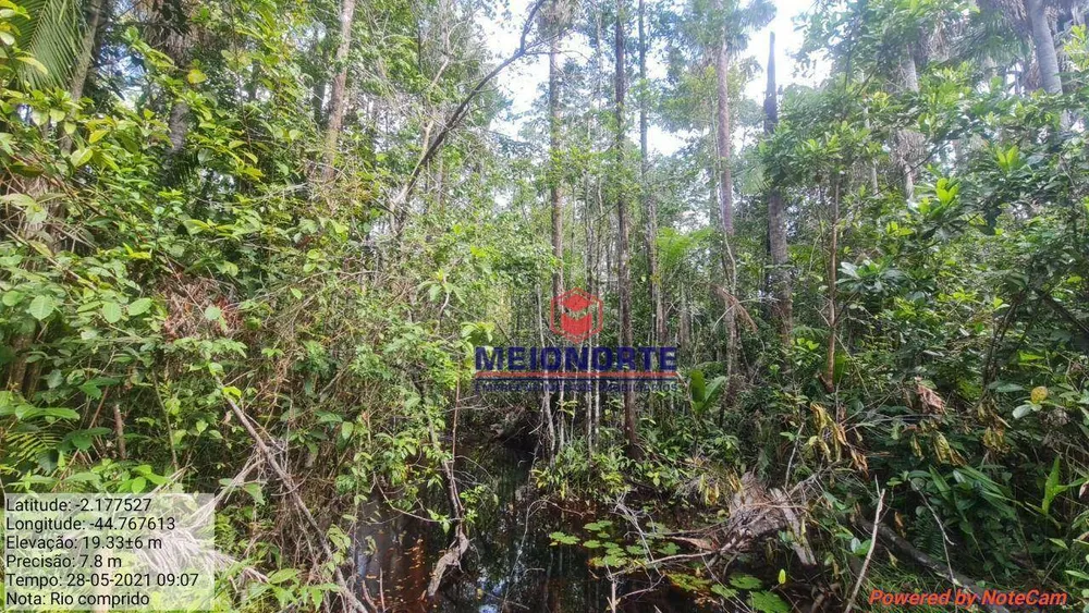 Fazenda, 2019 hectares - Foto 4