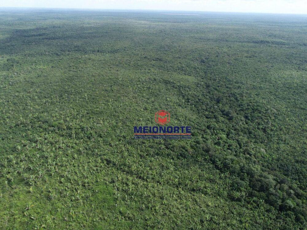 Fazenda, 2019 hectares - Foto 3