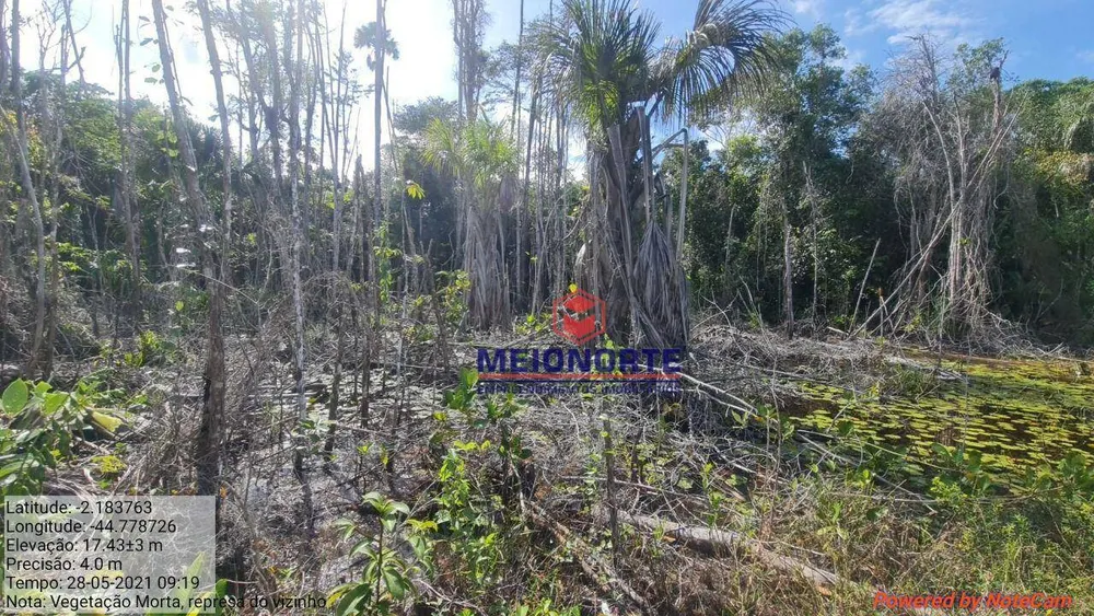 Fazenda, 2019 hectares - Foto 7