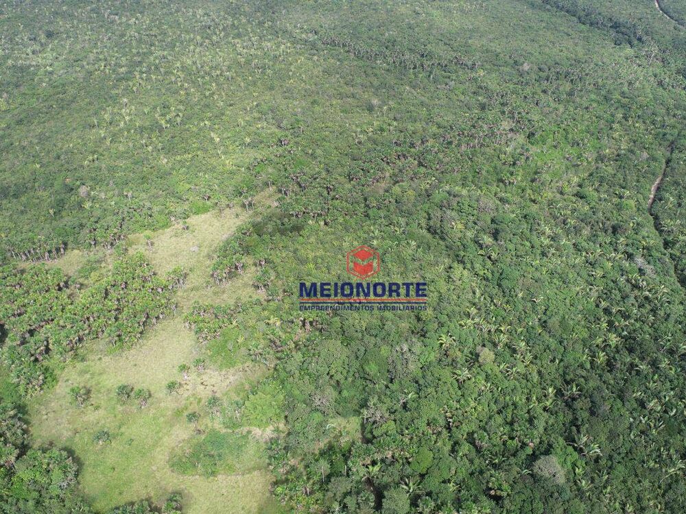 Fazenda, 2019 hectares - Foto 4