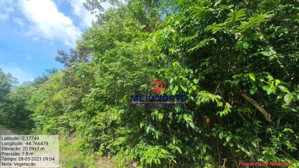 Fazenda, 2019 hectares - Foto 2