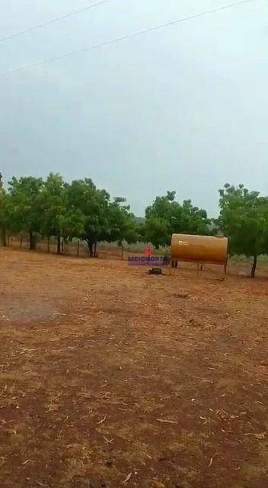 Fazenda, 1780 hectares - Foto 24