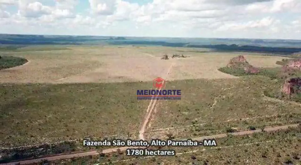 Fazenda, 1780 hectares - Foto 6