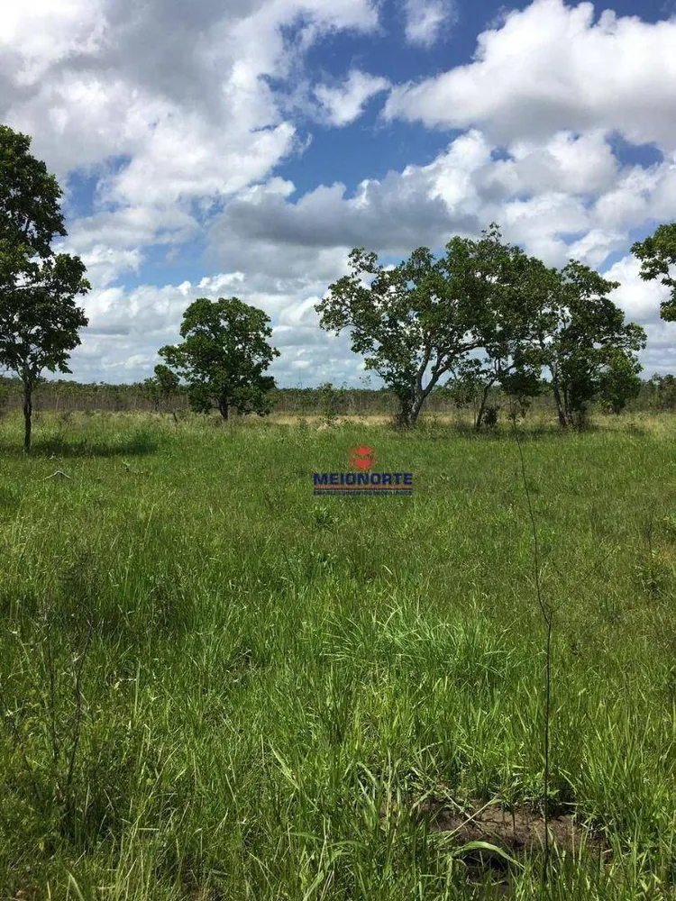 Fazenda, 226 hectares - Foto 6