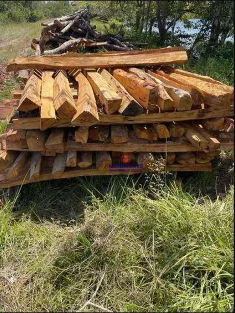 Fazenda à venda com 1 quarto, 2260000M2 - Foto 2