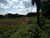 Terreno, 6300 m² - Foto 4