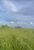 Fazenda-Sítio-Chácara, 1715 hectares - Foto 6