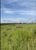 Fazenda, 1715 hectares - Foto 2