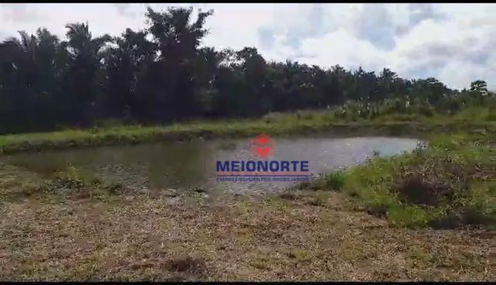 Fazenda, 30 hectares - Foto 2