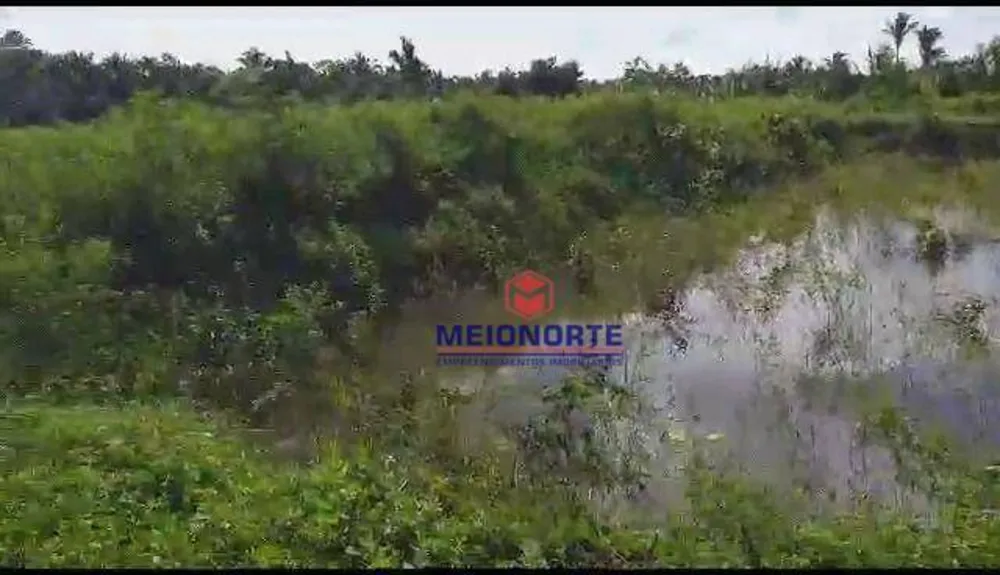 Fazenda, 30 hectares - Foto 14