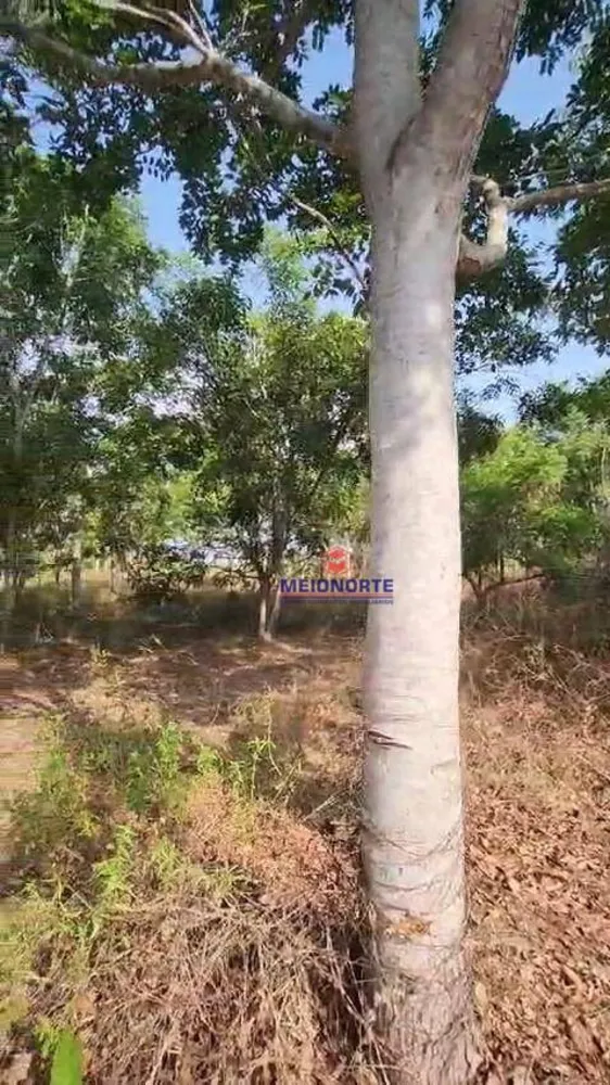 Fazenda, 30 hectares - Foto 15
