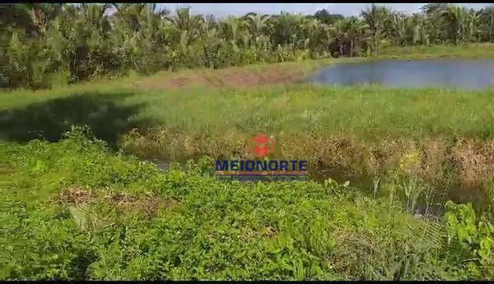 Fazenda, 30 hectares - Foto 11
