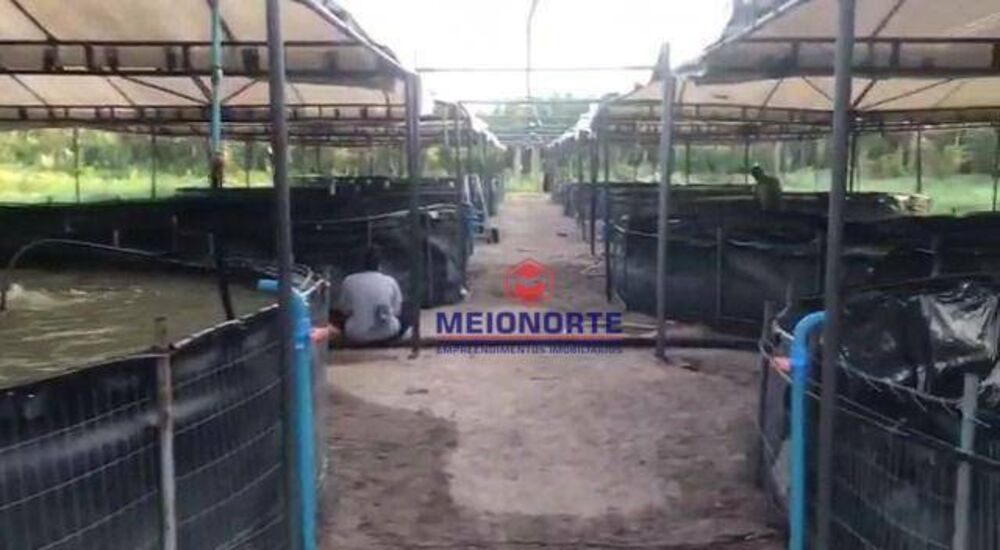 Fazenda à venda com 2 quartos, 300000M2 - Foto 6